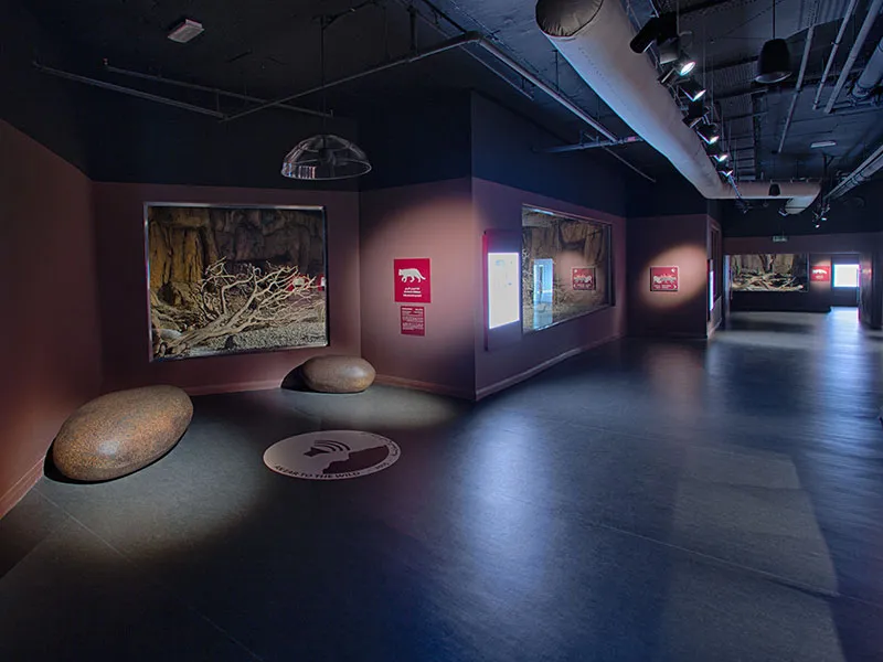 Gallery Image 7
