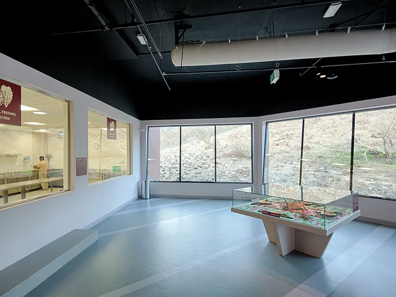 Gallery Image 8